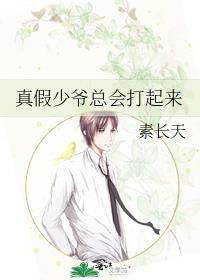 真假少爷总会打起来免费